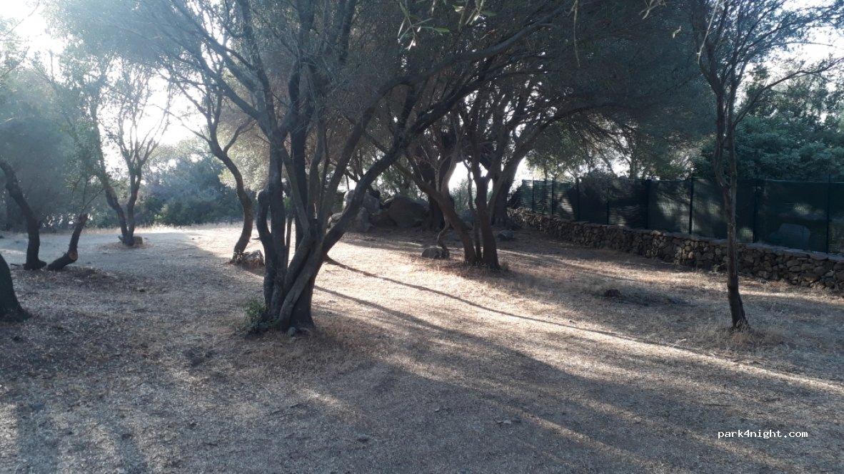 (07021) Arzachena - Località Capichera, 1 — foto 2