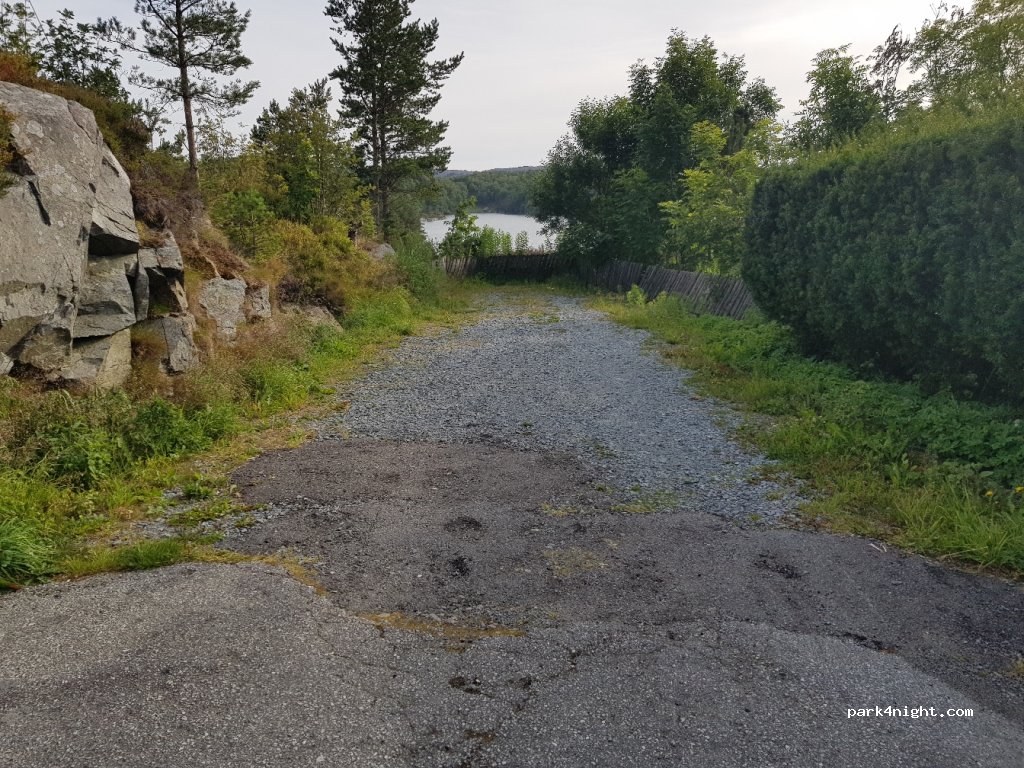 (5437) Finnås - 31 Primær Fylkesveg 541 — foto