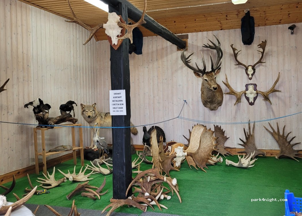 Elinge Elk Park — foto 2