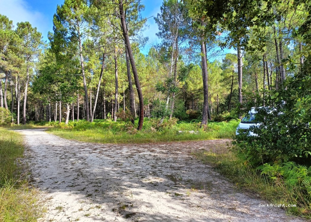 (33730) Préchac - Bos d'Aoues — foto