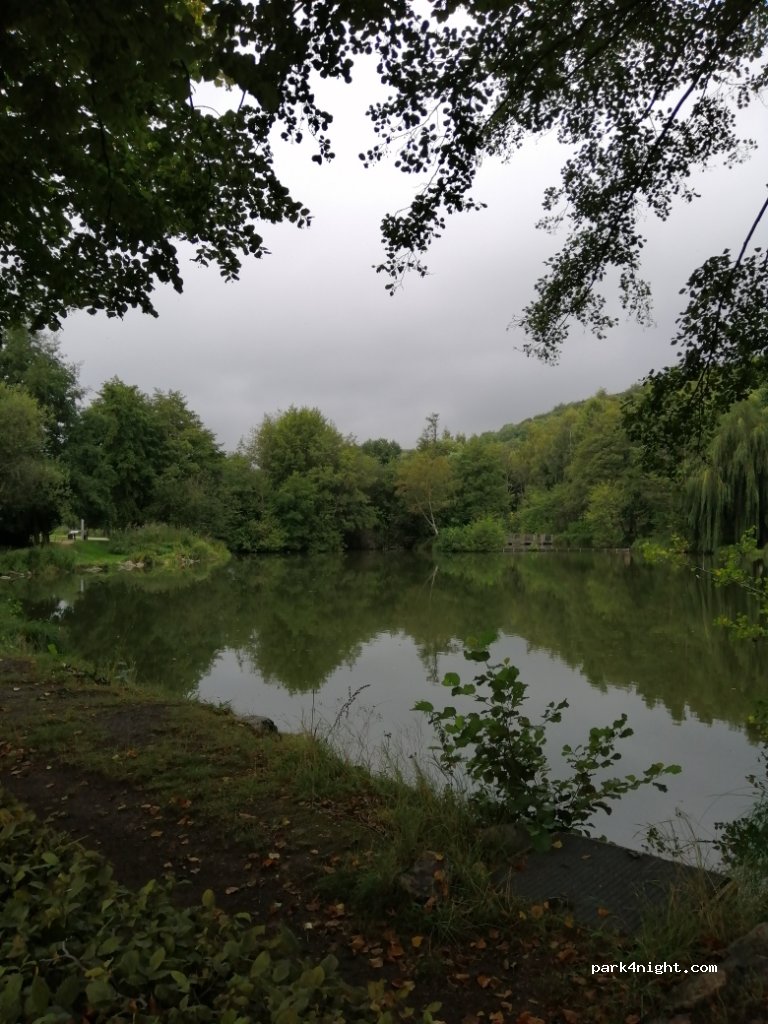 (76170) Lillebonne - 110 Rue Thiers — foto 3