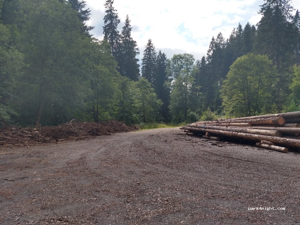 (38709) Wildemann - Unnamed Road — foto 2