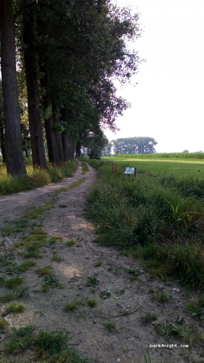 (6659 CH) Wamel - 98 Dorpsstraat — foto