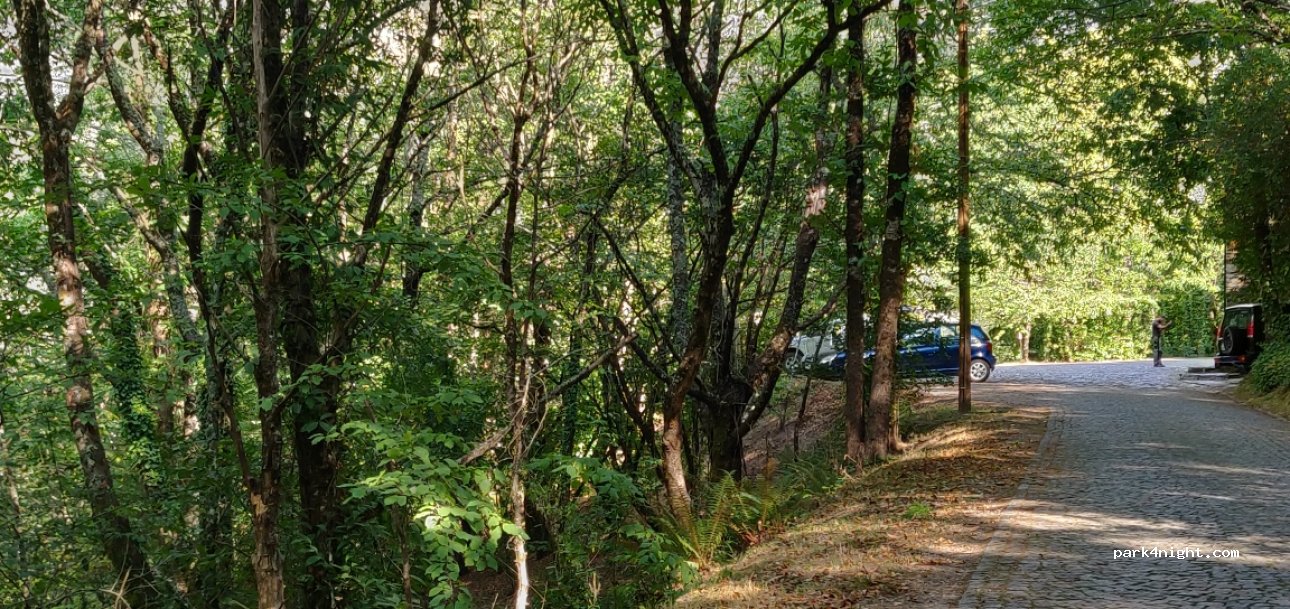 (3305) Benfeita - Unnamed Road — foto 2