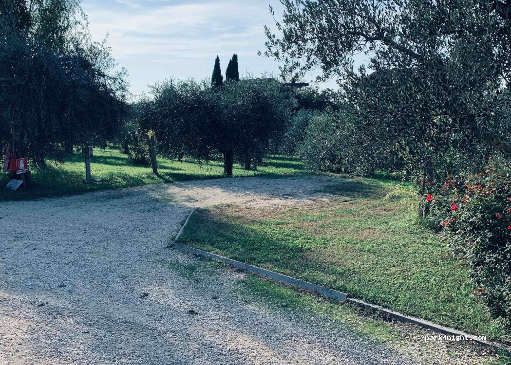 Agriturismo Il Giardino degli Ulivi — foto 3