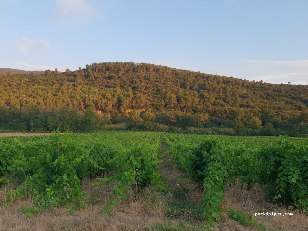 (11350) Padern - Unnamed Road — foto 3