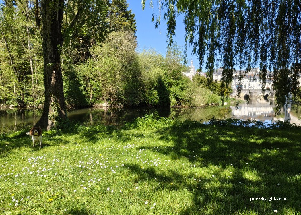 (49500) Segré - 28-30 Rue Emile Zola — foto 4