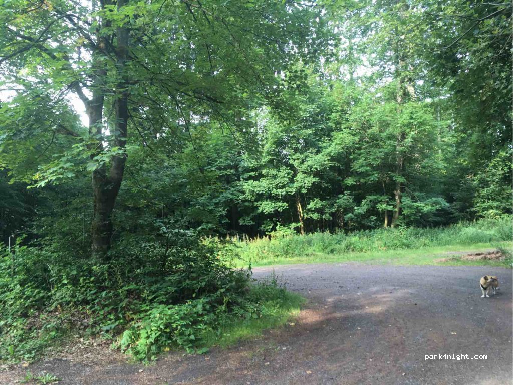 (63679) Schotten - L3305 — foto 3