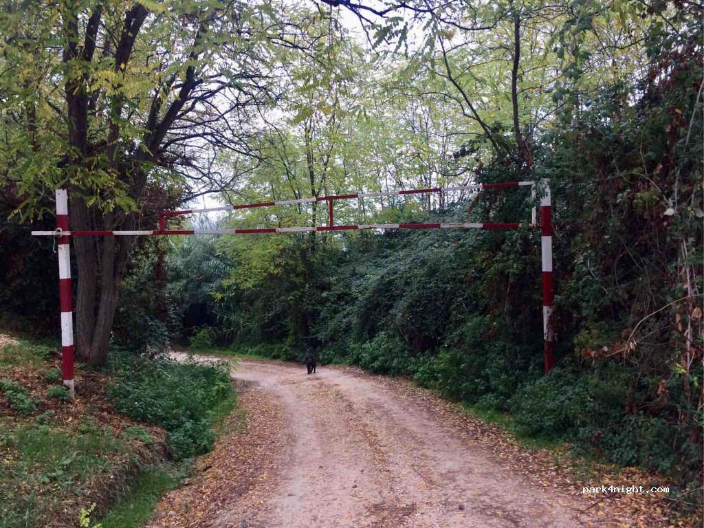 (66054) Vasto CH - Vasto, Localita' Mottagrossa — foto