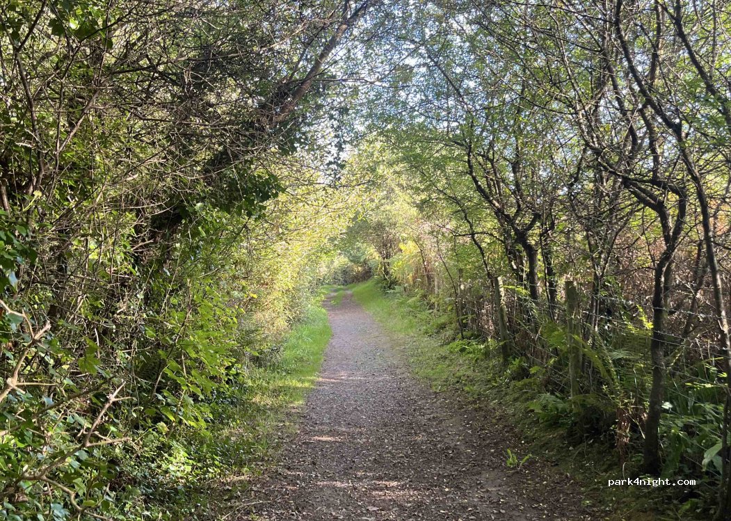 Park Farm Holiday Park — foto 4