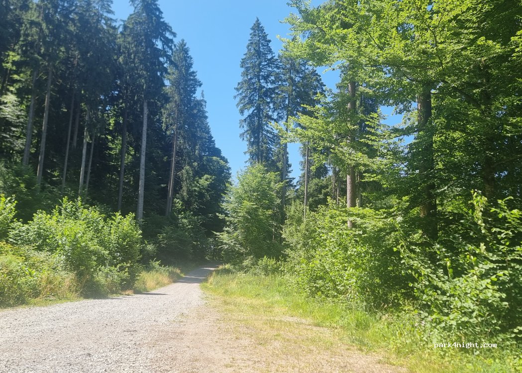(88239) Wangen im Allgäu - 19 Seestraße — foto 3