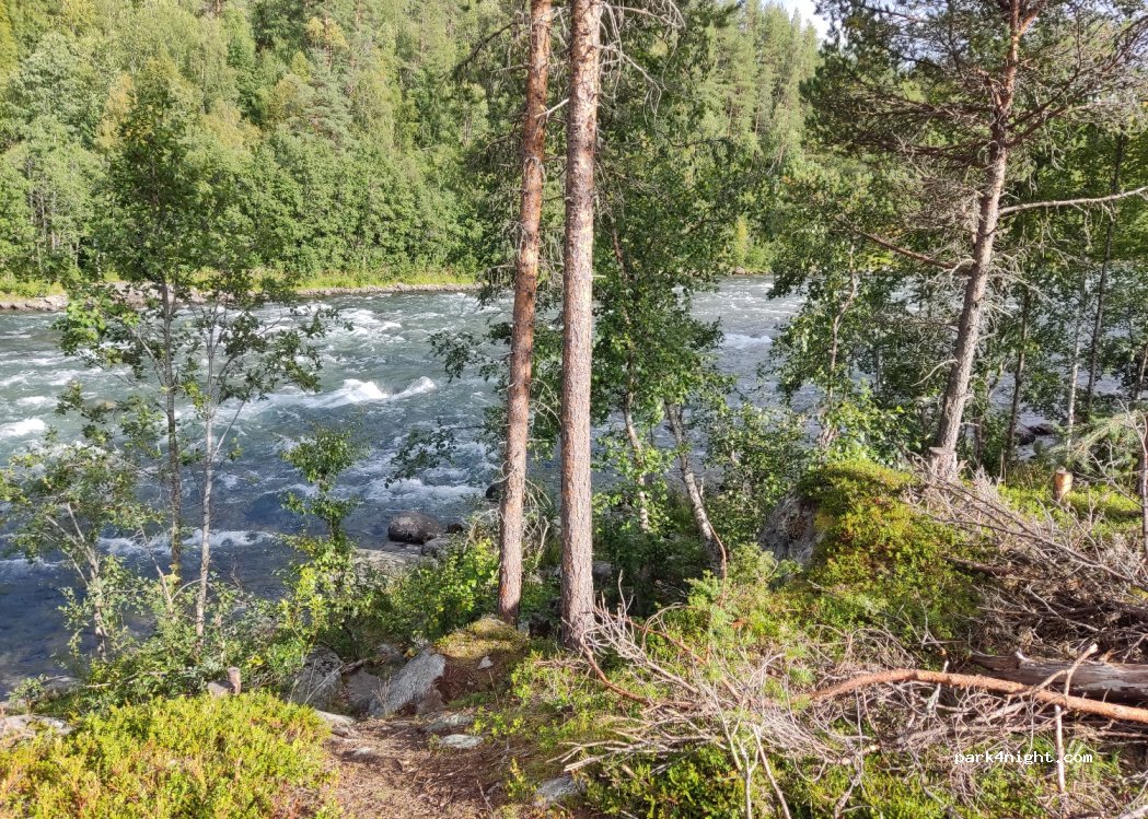 (2676) Heidal - Sekundær Fylkesveg 442 — foto 3