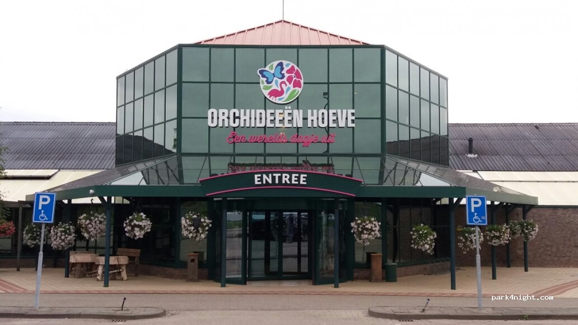The Orchid Farm — foto 2