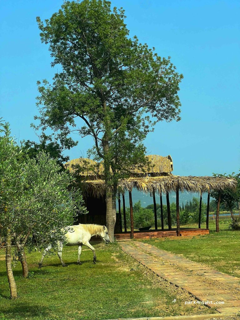 (4503) Shengjin - Rruga Shëngjin - Kune — foto 2