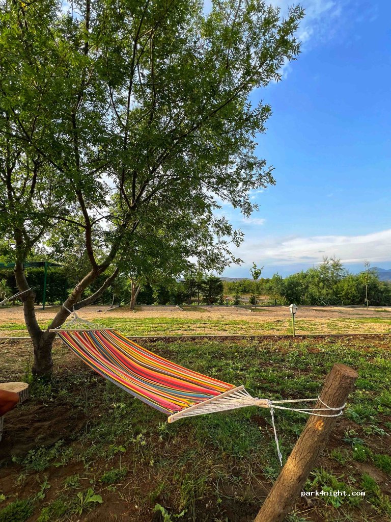 (4503) Shengjin - Rruga Shëngjin - Kune — foto 3