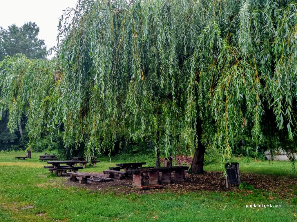 (4002) Debrecen - 4808 — foto 2