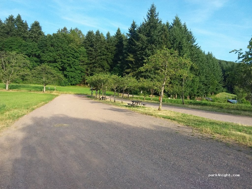 (79348) Freiamt / Schuttertal - Pflingsteck / Schönwasen — foto