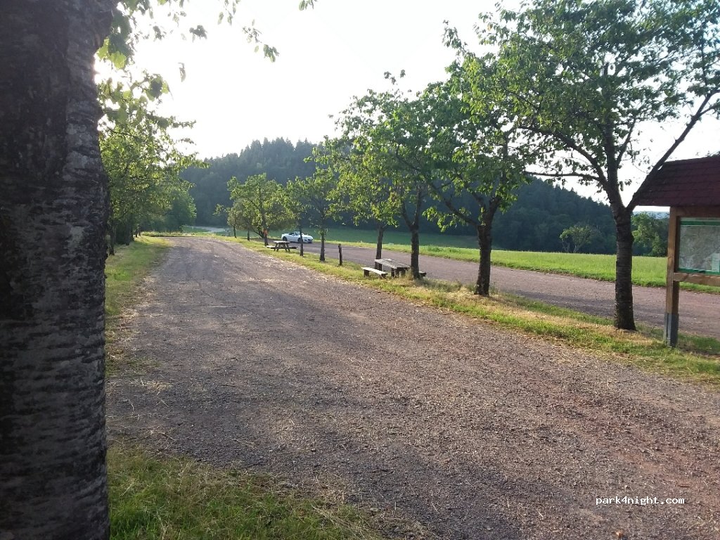 (79348) Freiamt / Schuttertal - Pflingsteck / Schönwasen — foto 2