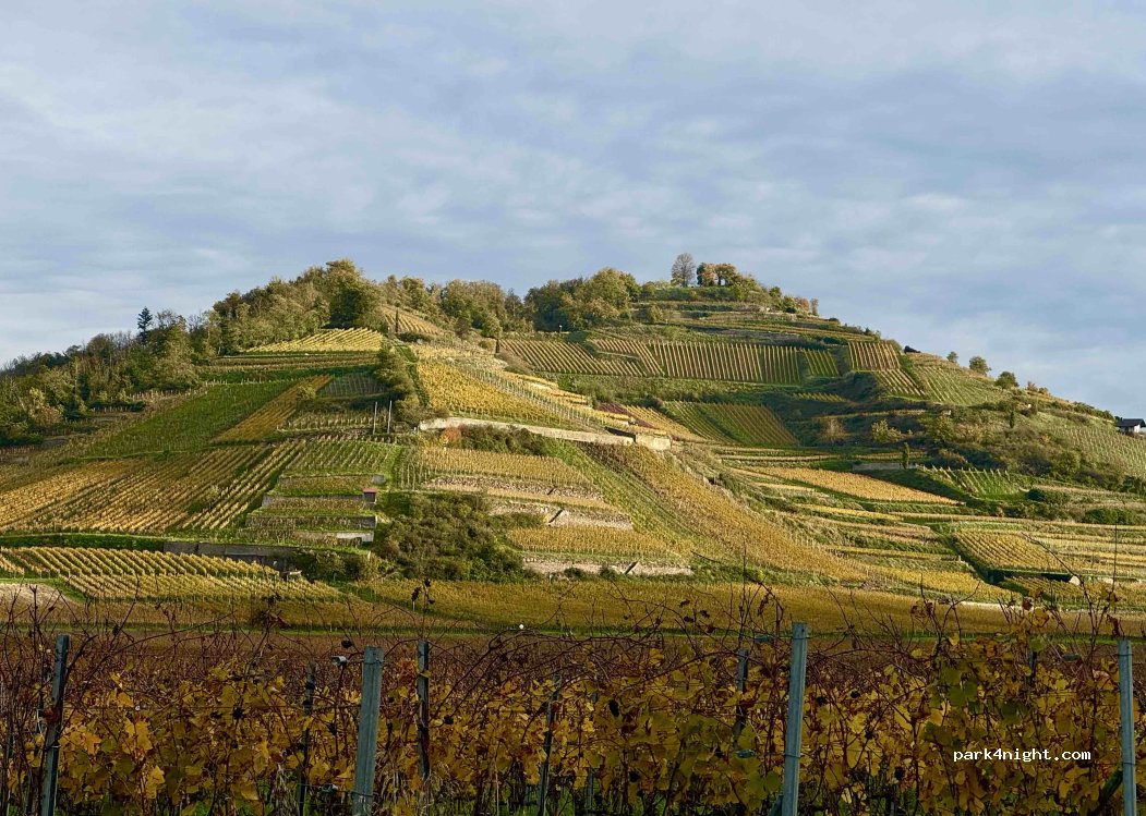 (79235) Vogtsburg - 14 Hinterkirch — foto