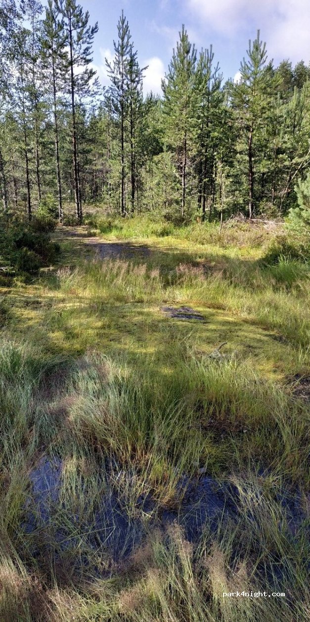 (4735) Evje - Primær Fylkesveg 42 — foto 2