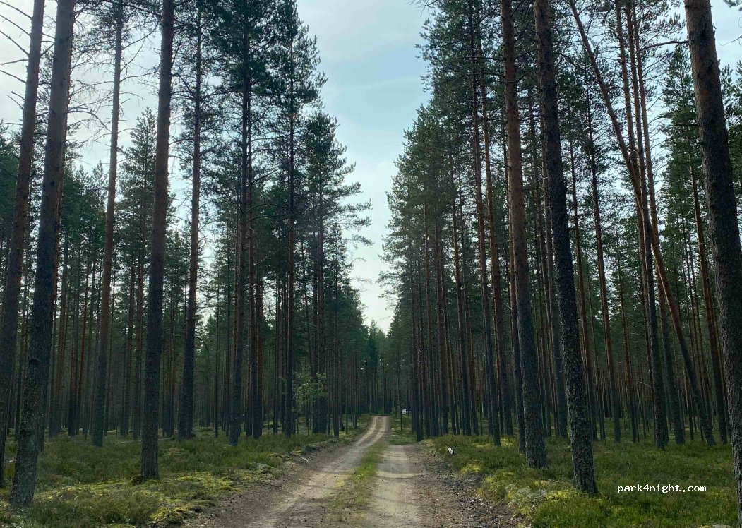 (43170) Saarijärvi - Unnamed Road — foto 3