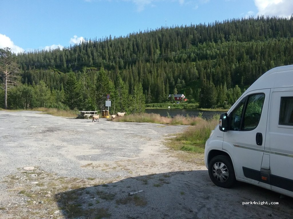 (3880)  - 1086 Borsævegen — foto