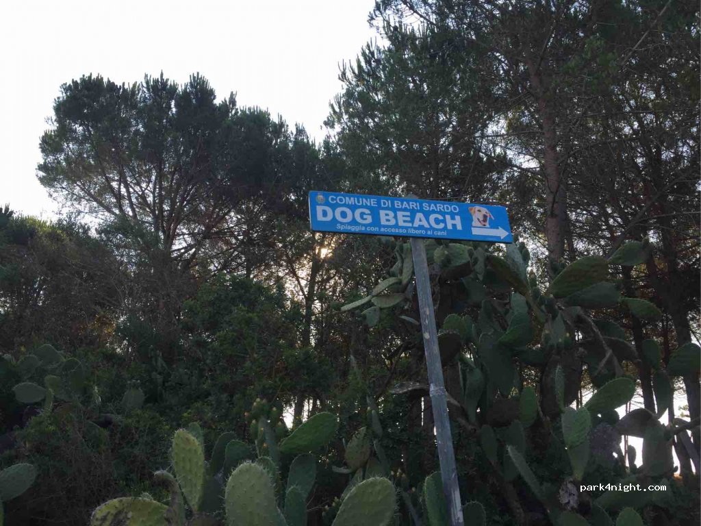 (08042) Bari Sardo - 29 Viale della Pineta — foto