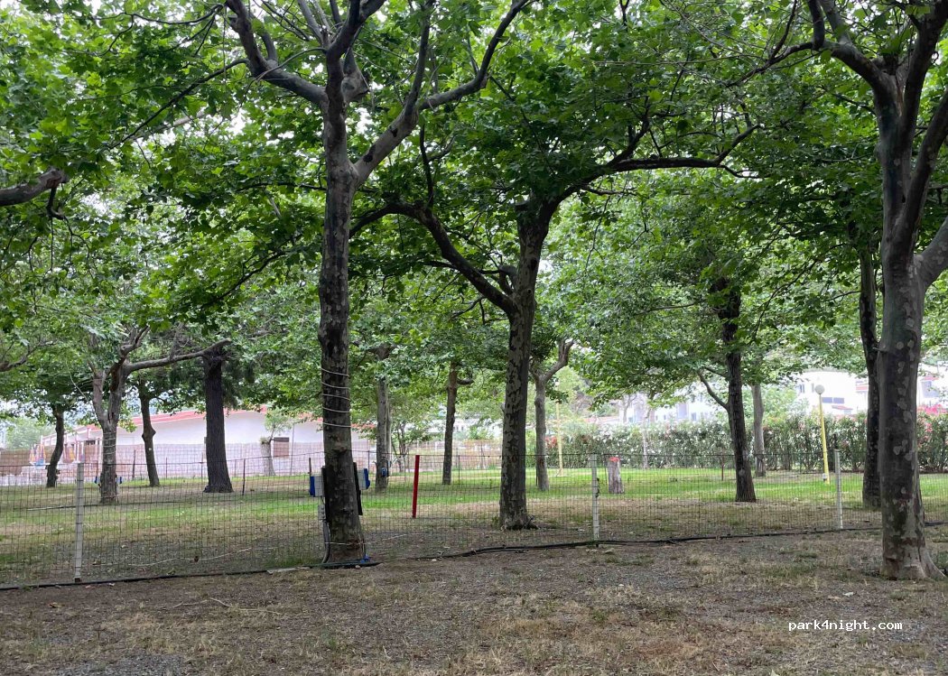 Bahja — foto 2