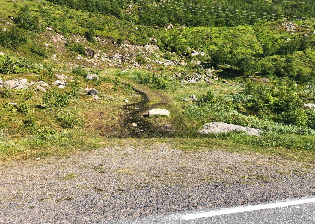(8313)  - 20 Sekundær Fylkesveg 864 — foto 3