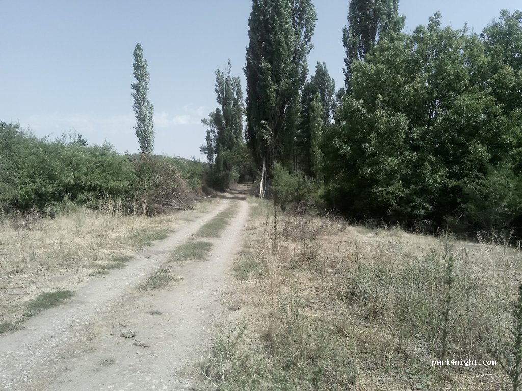 (16112) Valdetórtola - Carretera Nacional de Córdoba a Tarragona por Cuenca — foto 2