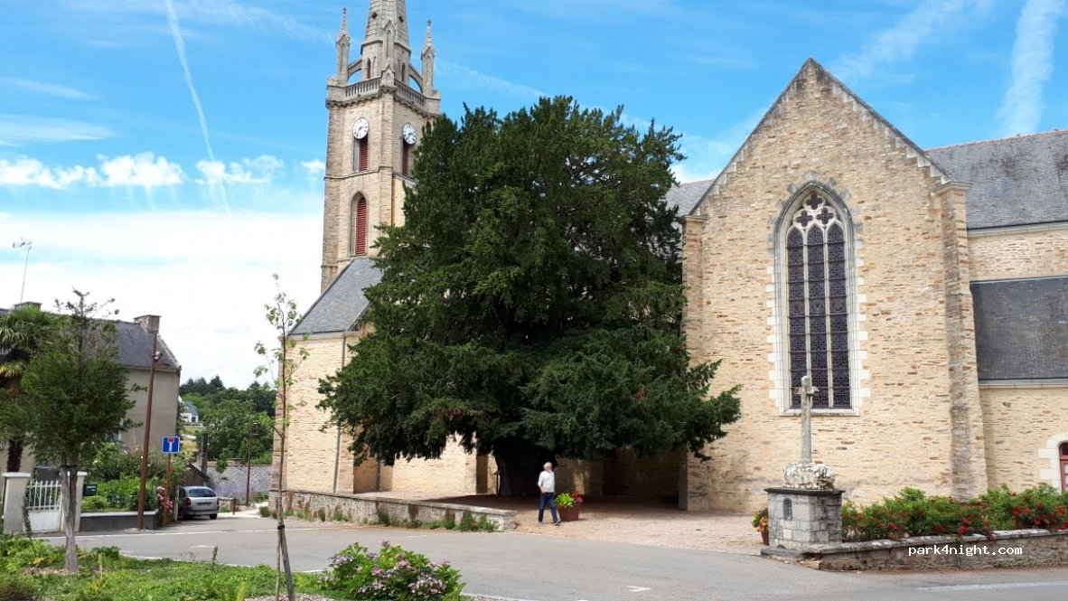 (56460) La Chapelle-Caro - 9 Rue de la Libération / D166 — foto