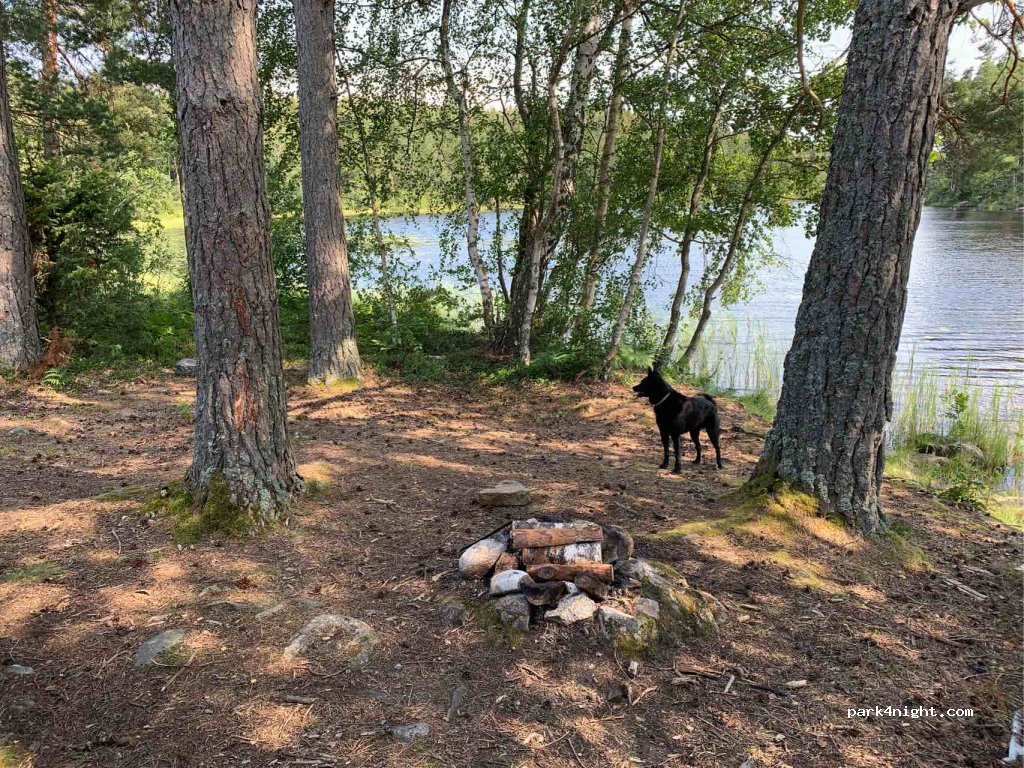 (695 96) Bosjön - Unnamed Road — foto