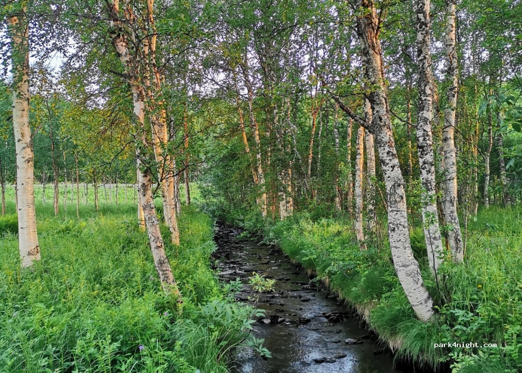 (920 64) Tärnaby - Blå vägen — foto 2