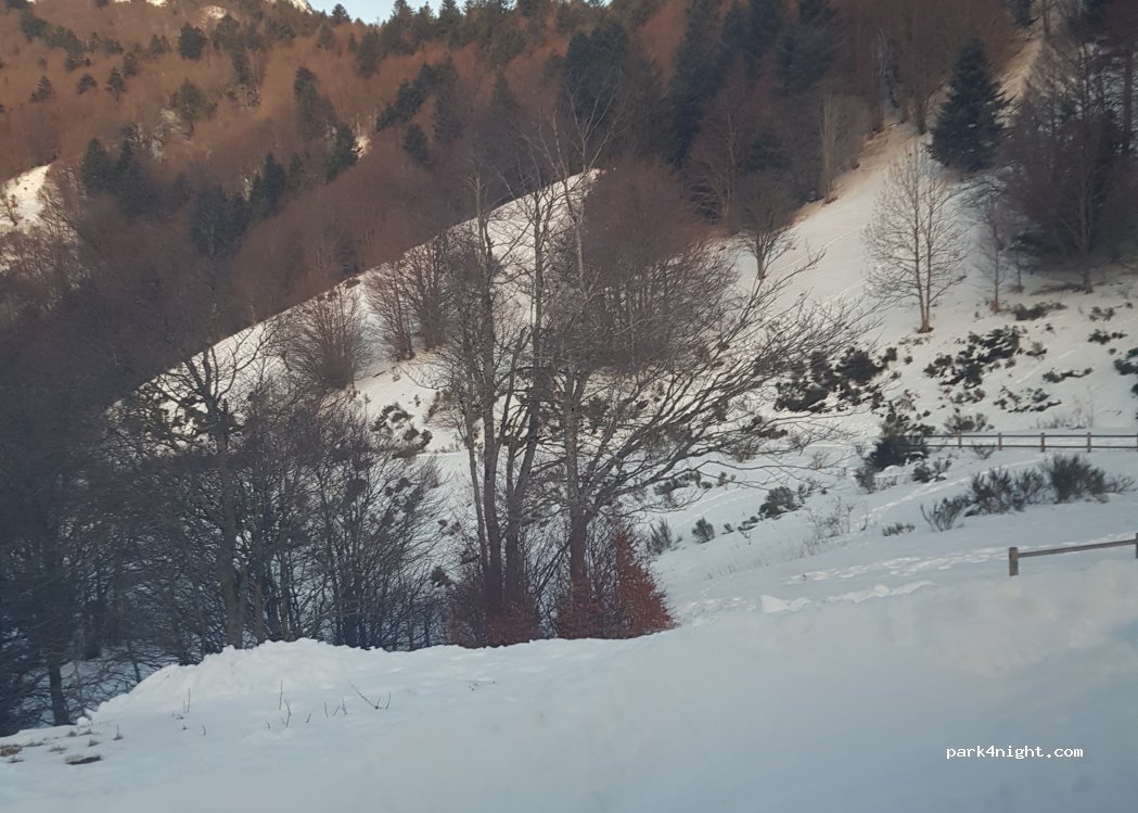 (15800) Laveissière - Combe Nègre — foto 4