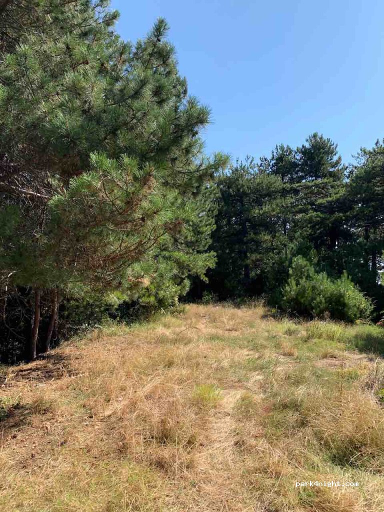 (602 00) Litochoro - Unnamed Road — foto 2