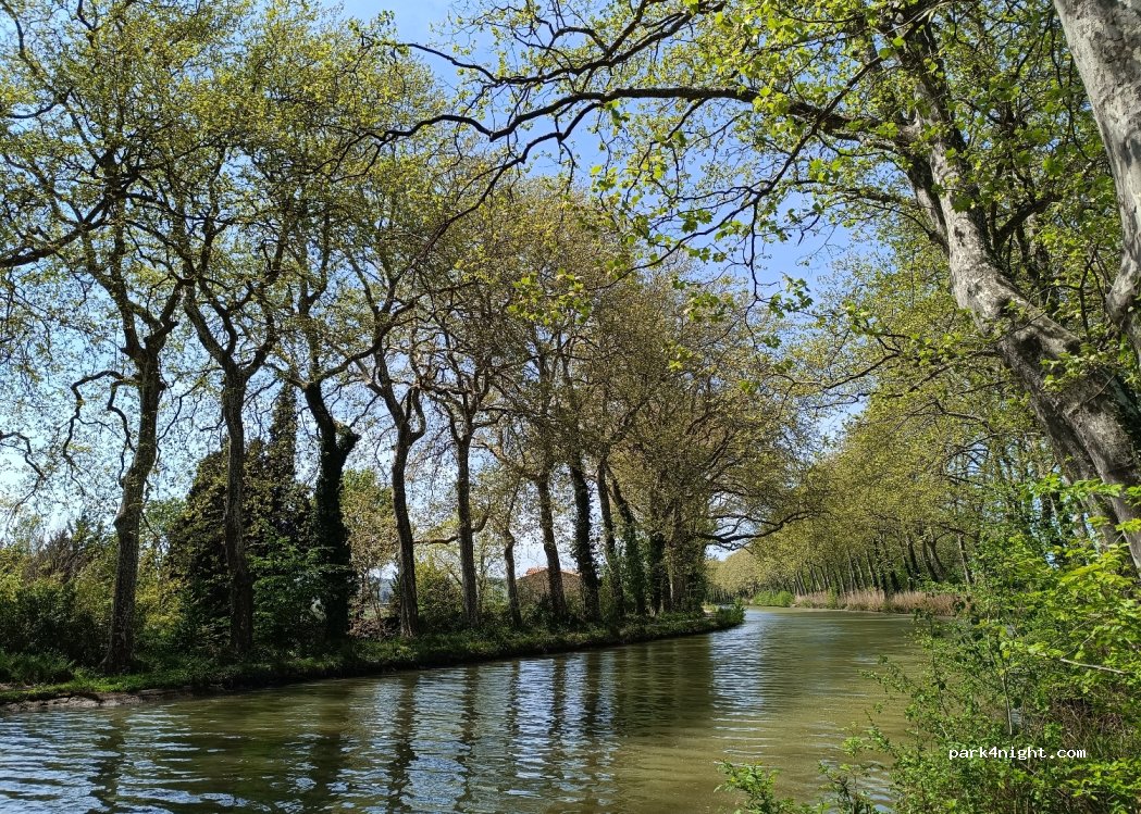 (11400) Mas-Saintes-Puelles - D818 — foto 3