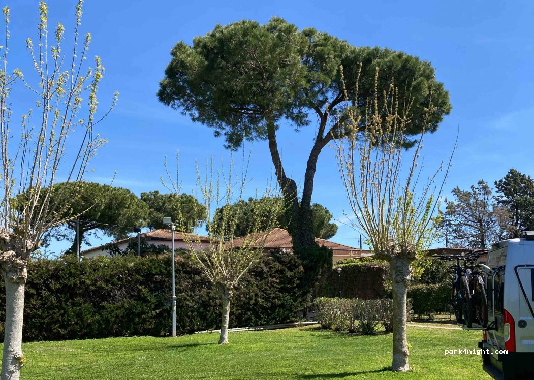 (84025) Eboli SA - Via Giovanni Cairoli — foto 3