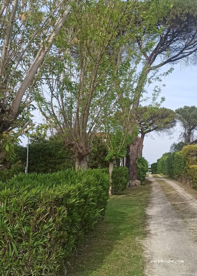 (84025) Eboli SA - Via Giovanni Cairoli — foto 5