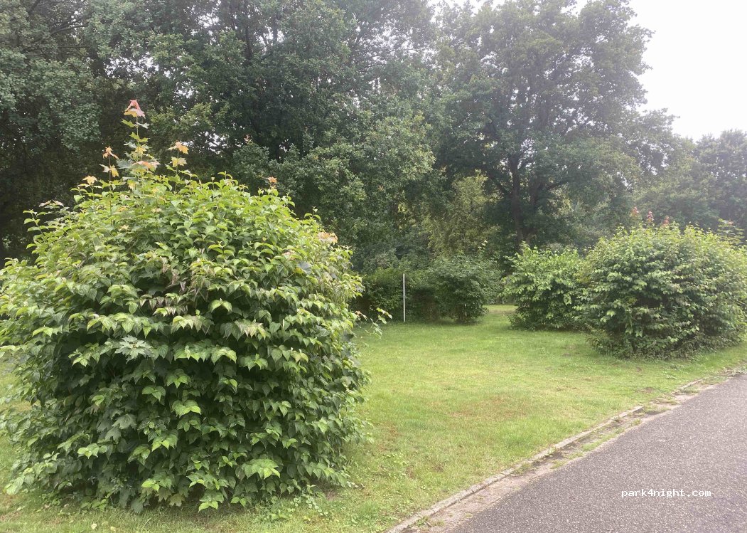 KNAUS Campingpark Haren — foto 4