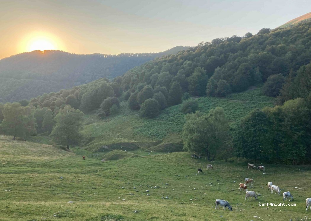 () Tremezzina - — foto 2