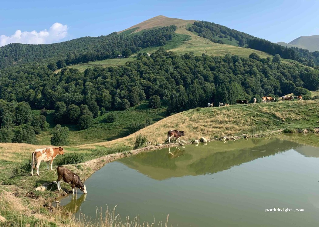 () Tremezzina - — foto 4