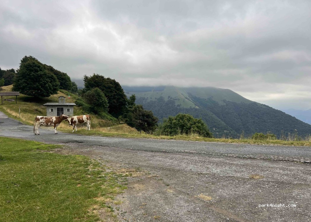 () Tremezzina - — foto 5