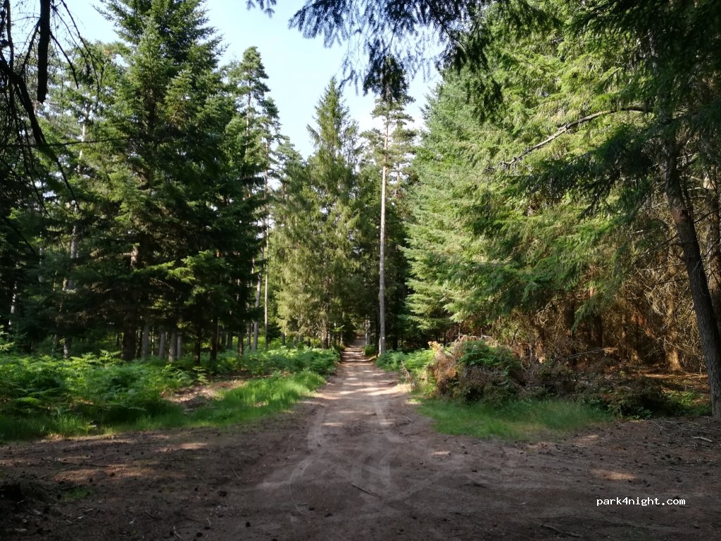 (43290) Montregard - La Berthe — foto 2
