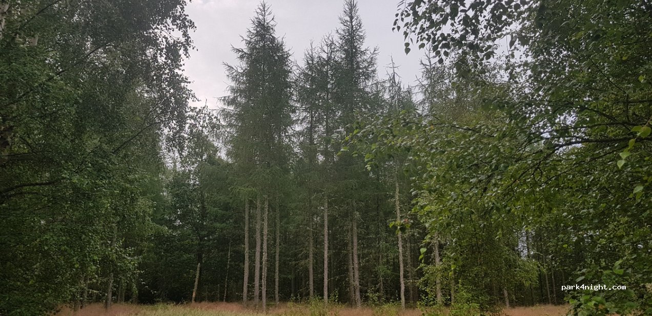 (340 10) Lidhult - Unnamed Road — foto 2