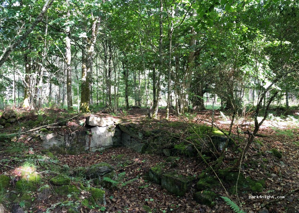 (340 10) Lidhult - Unnamed Road — foto 3