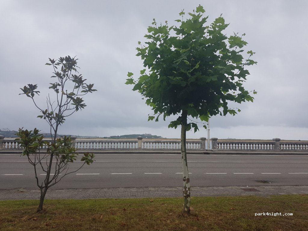 (39130) Cantabria - 1139 Barrio Pedreña — foto 4