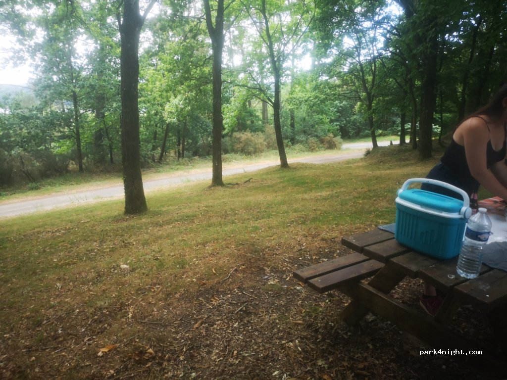 (56350) Béganne - La Grée de la Chevalerie — foto 3