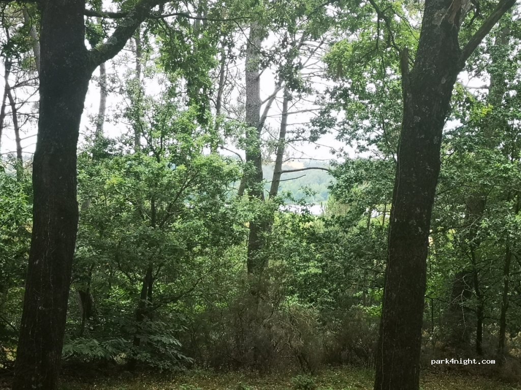 (56350) Béganne - La Grée de la Chevalerie — foto 4