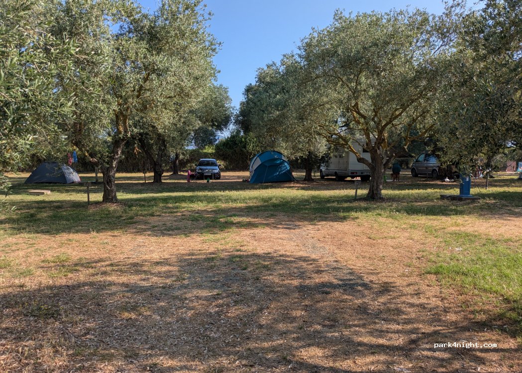 Agricampeggio Donne Rurali — foto 5