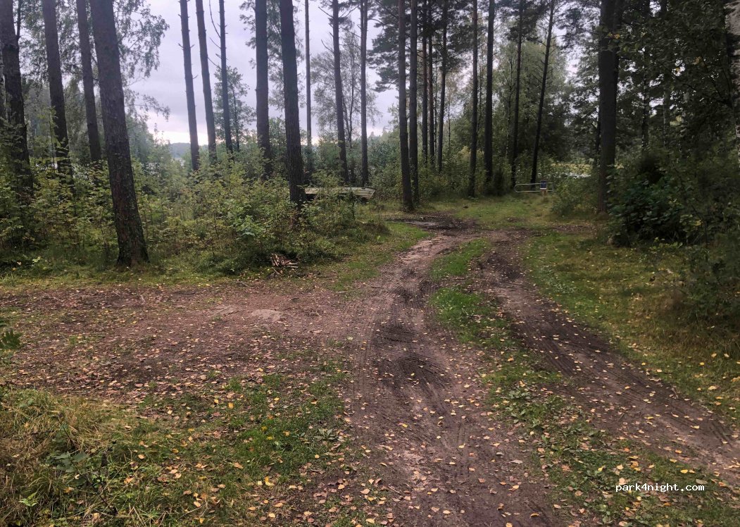 (524 95) Ljung - Unnamed Road — foto